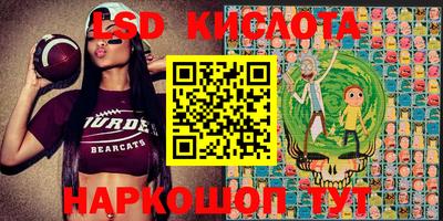 индика Кимры