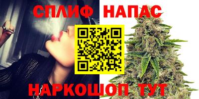 индика Кимры