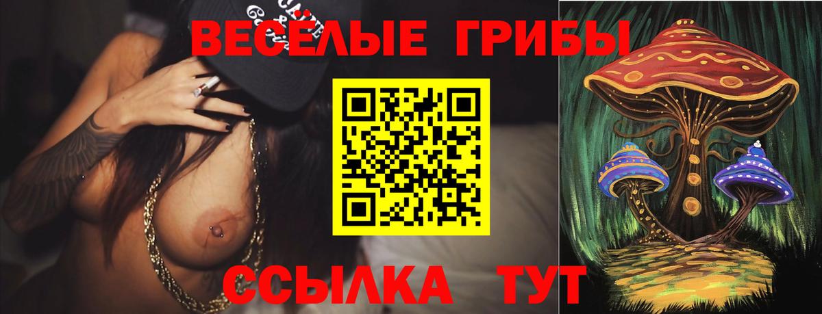 Псилоцибиновые грибы Cubensis Красноярск